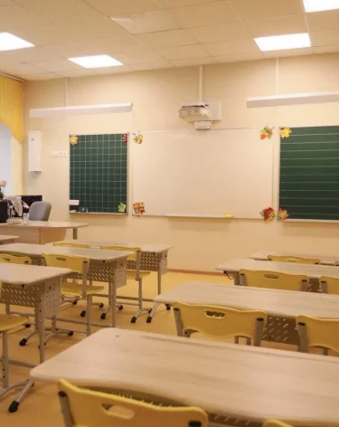 В Воронеже школьница пришла на уроки с ножом