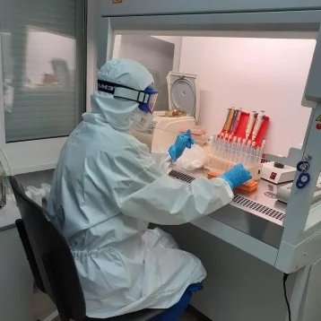 Фото: В Кемерове открылась новая лаборатория по тестированию на COVID-19 1