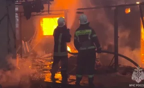 МЧС: Площадь пожара в Станично-Луганском районе увеличилась до 458 гектаров