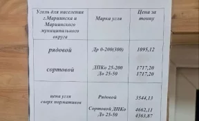 Глава правительства Кузбасса призвал не верить фейкам о нехватке угля в Мариинске