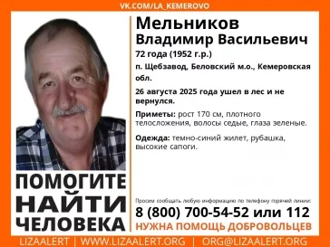 Фото: Ушли в лес: пожилые мужчина и женщина пропали в Кузбассе 26 августа 2