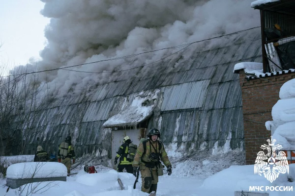 В ГУ МЧС по Кузбассу назвали причину пожара на складе в Новокузнецке