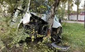 В Саратове маршрутка врезалась в дерево, пострадали 8 человек 