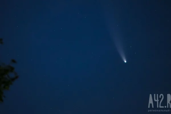 За ночь над регионами России и Чёрным морем сбили 40 БПЛА