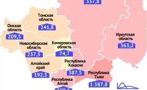 Заболеваемость коронавирусом в Кузбассе оказалась самой низкой в Сибири