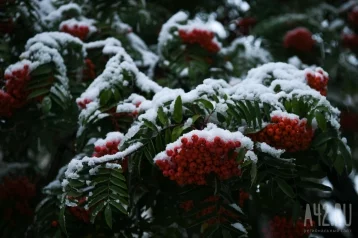 Фото: Синоптики рассказали, могут ли продолжится на неделе сильные снегопады в Кузбассе 1