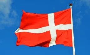 Правительство Дании решило уничтожить всех норок из-за мутировавшего коронавируса