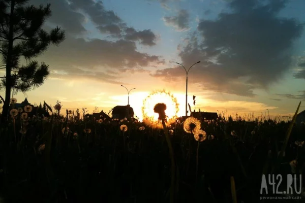 Россиян предупредили о риске оглохнуть из-за дачных работ