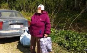 Женщина ушла собирать колбу и заблудилась в лесу под Кемеровом