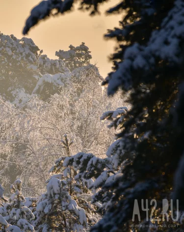 Фото: А42.RU