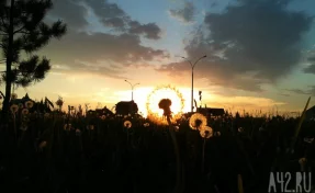 Россиян предупредили о риске оглохнуть из-за дачных работ