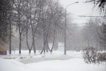 Фото: Кузбасские синоптики рассказали, как долго сохранятся снегопады 1