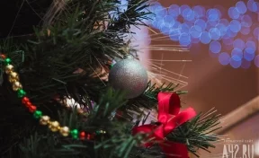 Россияне рассказали, сколько хранят новогодние ёлки после праздника