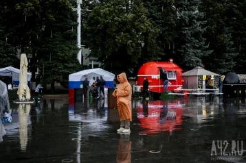 Фото: Кузбассовцам пообещали в воскресенье местами сильные и очень сильные дожди 1