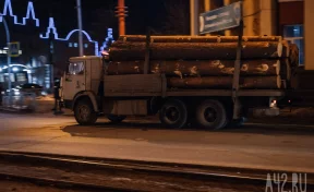 Китай, Вьетнам и Монголия: в Россельхознадзоре рассказали, куда продают кузбасский лес