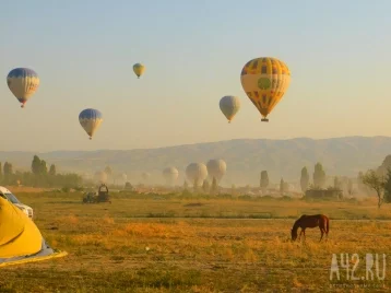 Фото: В Липецкой области воздушный шар с людьми повис на высоковольтных проводах  1