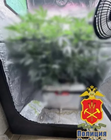 Фото: ГУ МВД по Кемеровской области