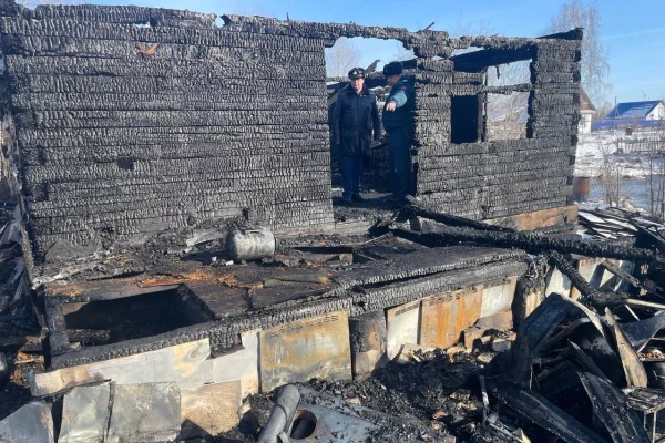 В Новосибирской области при пожаре погибли пенсионерка и ребёнок