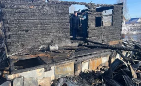 В Новосибирской области при пожаре погибли пенсионерка и ребёнок