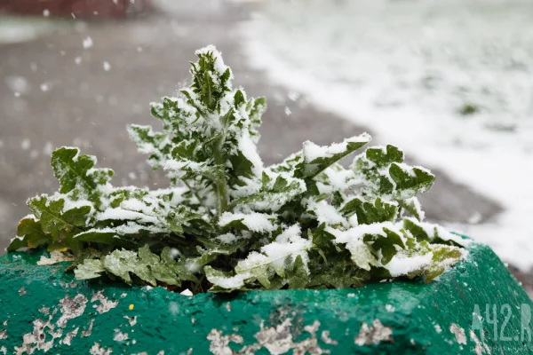 Вильфанд предупредил о мокром снеге и гололёде в ближайшие дни в Сибири и на Дальнем Востоке