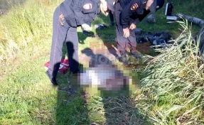 В Сети появились фотографии с места обнаружения расчленённого тела в Кузбассе