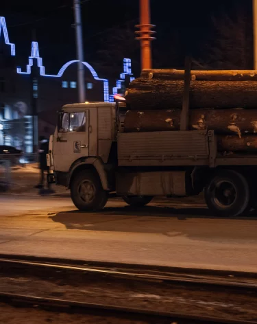 Китай, Вьетнам и Монголия: в Россельхознадзоре рассказали, куда продают кузбасский лес