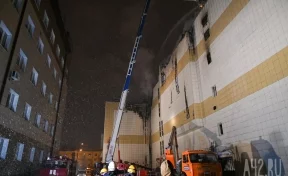 ВДПО: действия пожарного Сергея Генина в «Зимней вишне» были абсолютно верными