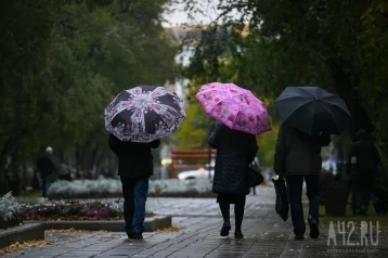 Фото: Жителей Кузбасса предупредили о дожде и мокром снеге 1