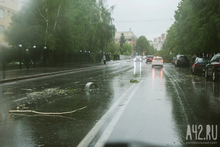 Фото: В центре Кемерова ураган повалил несколько деревьев и сорвал шифер с крыш 4