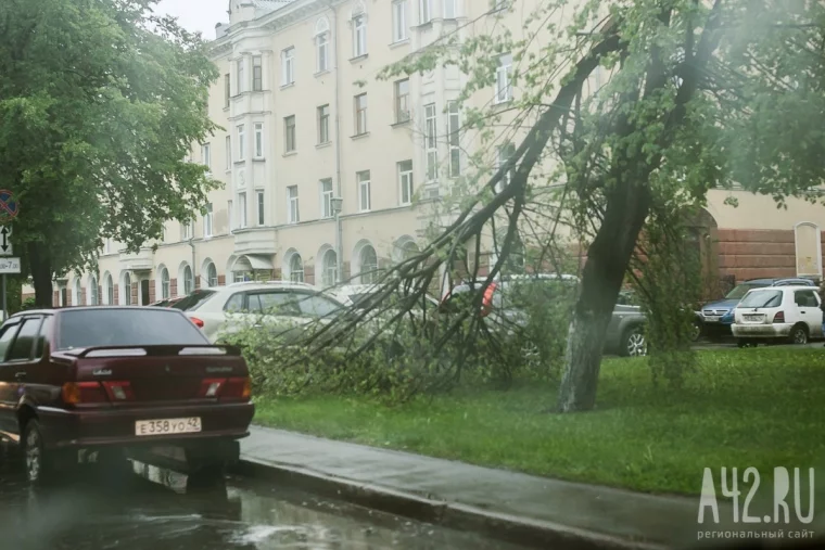 Фото: В центре Кемерова ураган повалил несколько деревьев и сорвал шифер с крыш 5