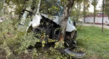 Фото: В Саратове маршрутка врезалась в дерево, пострадали 8 человек  1