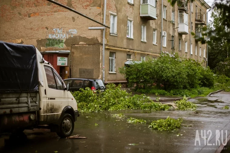Фото: В центре Кемерова ураган повалил несколько деревьев и сорвал шифер с крыш 7