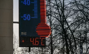 Синоптики: в Кузбассе на неделе пойдёт дождь и потеплеет до +5