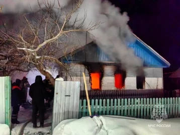 Фото: В Омской области погибли двое детей и двое подростков во время пожара 1