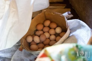 Фото: В ФАС предложили ограничить наценки на яйца до 5% 1