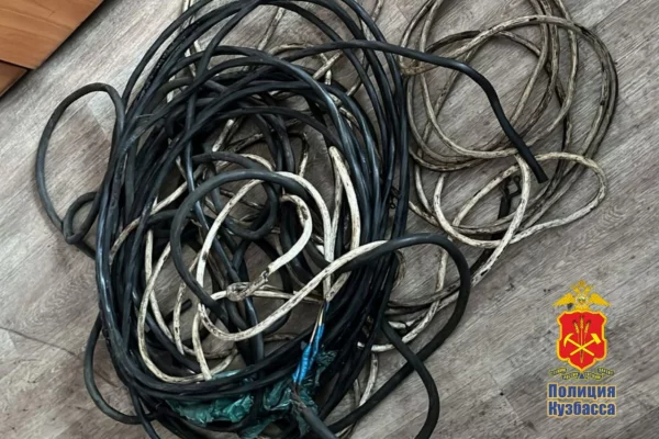 В Прокопьевске бывший работник обокрал хозяйку, но быстро попался полиции