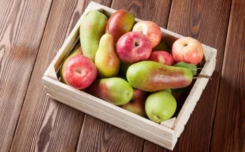 Фото: В Россию запретили ввозить яблоки и груши из Белоруссии 1