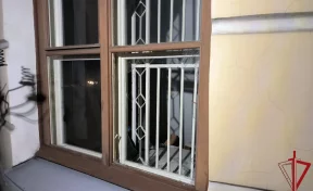 Пьяный кузбассовец лёг спать в закрытом Шереметевском дворце в Санкт-Петербурге