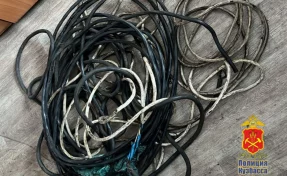 В Прокопьевске бывший работник обокрал хозяйку, но быстро попался полиции