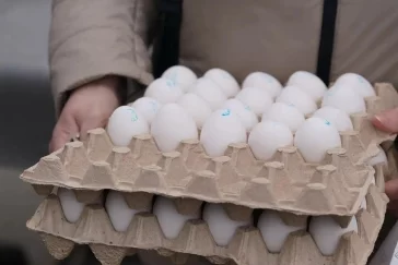 Фото:  «Посмотрел, чем торгуют»: Илья Середюк зашёл на ярмарку на площади Советов в Кемерове 2