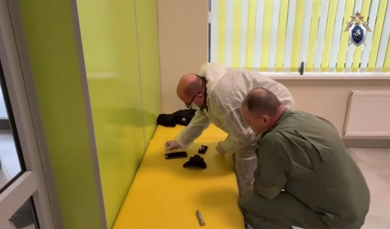 Фото: ГСУ СК по Московской области