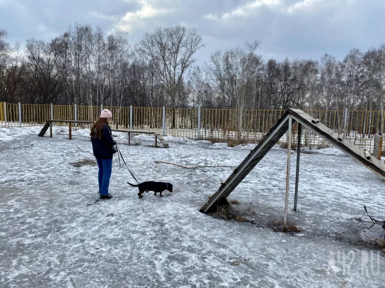 Фото: Развалины и грязь. Как мы обходили площадки для выгула собак в Кемерове и Новокузнецке 86