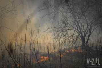 Фото: В Кузбассе сохранится чрезвычайная пожаропасность 1