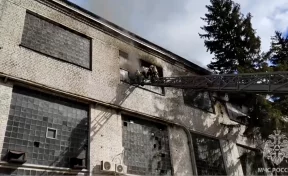 При пожаре на воронежском заводе погибли три человека