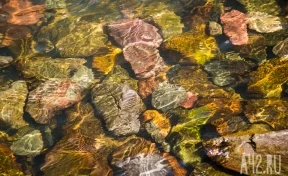 В Кузбассе очередного золотодобытчика оштрафовали на 100 тысяч рублей