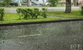 «Совершенно некомфортная погода»: в нескольких российских регионах пройдут интенсивные дожди