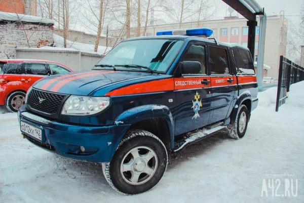 Бастрыкин потребовал доклад о бездействии врачей в Кузбассе