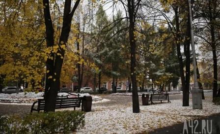 Заморозки и мокрый снег: синоптики дали прогноз погоды на неделю в Кузбассе