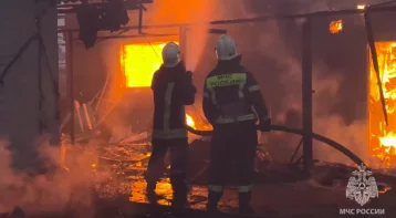 Фото: МЧС: Площадь пожара в Станично-Луганском районе увеличилась до 458 гектаров 1