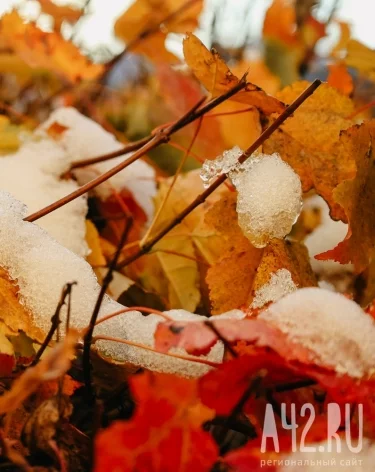 Фото: A42.RU